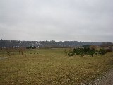 IMG_0226