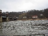 IMG_0239