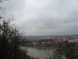 IMG_0261