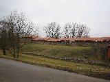 IMG_0266