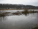 IMG_0271