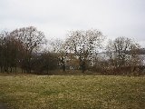 IMG_0272