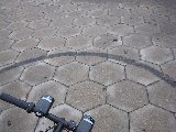 IMG_0281