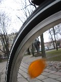 IMG_0290