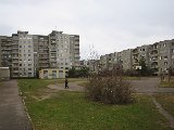 IMG_0317