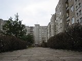 IMG_0324