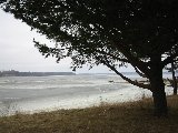 IMG_0231