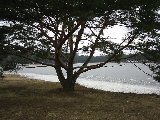 IMG_0232