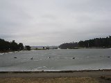 IMG_0234