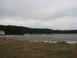 IMG_0235