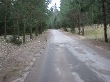 IMG_0239
