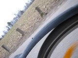 IMG_0241