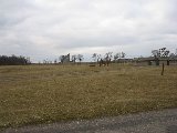 IMG_0256