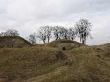 IMG_0259