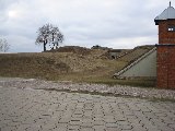 IMG_0263