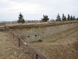 IMG_0273