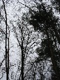 IMG_0232