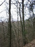 IMG_0239