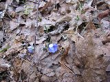 IMG_0240