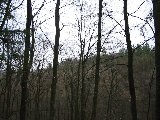 IMG_0242