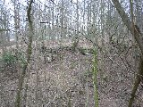 IMG_0246
