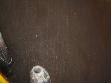 IMG_0251