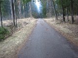 IMG_0252