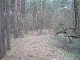 IMG_0260