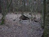 IMG_0261